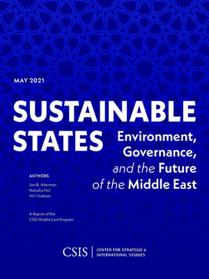 cover image of Sustainable States
